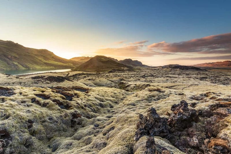 From Reykjavík: Icelandic Horse Riding Tour in Lava Fields - Who Should Book This Horse Ride?