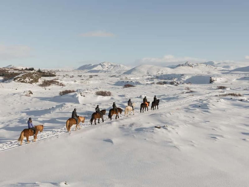 From Reykjavík: Icelandic Horse Riding Tour in Lava Fields - Starting at Íshestar Stables in Hafnarfjörður