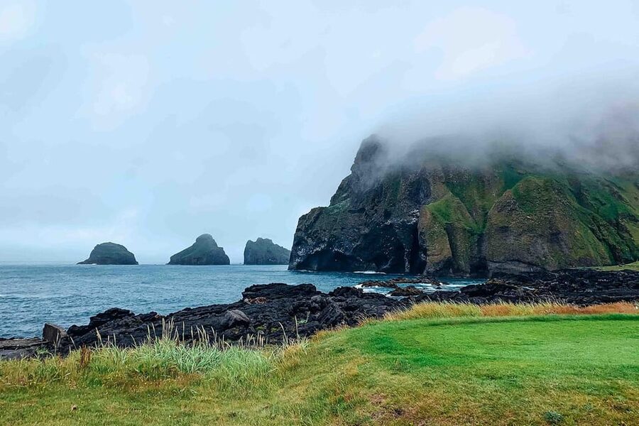 From Reykjavik: Puffin and Volcano Tour in Westman Islands - Puffin watching at Stórhöfði Cape