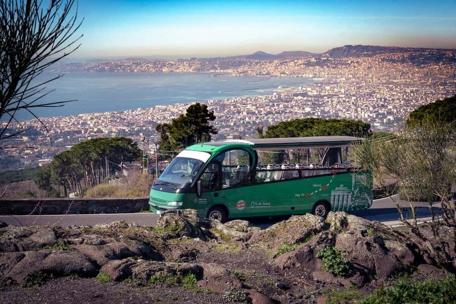 From Rome Day trip: Pompeii and Vesuvius at your leisure - Choosing the guided or independent Pompeii option