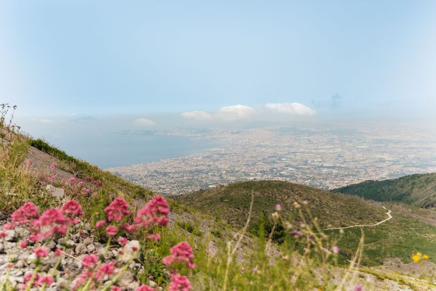 From Rome: Pompeii Day Trip with Optional Vesuvius and Lunch - Should You Book It?