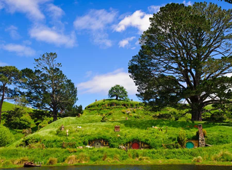 From Rotorua: Hobbiton Movie Set Tour with Festive Lunch - From Rotorua to the rolling hills of the Shire