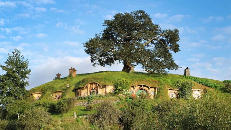 From Rotorua: Hobbiton Movie Set Tour with Festive Lunch - Finishing at the Green Dragon Inn