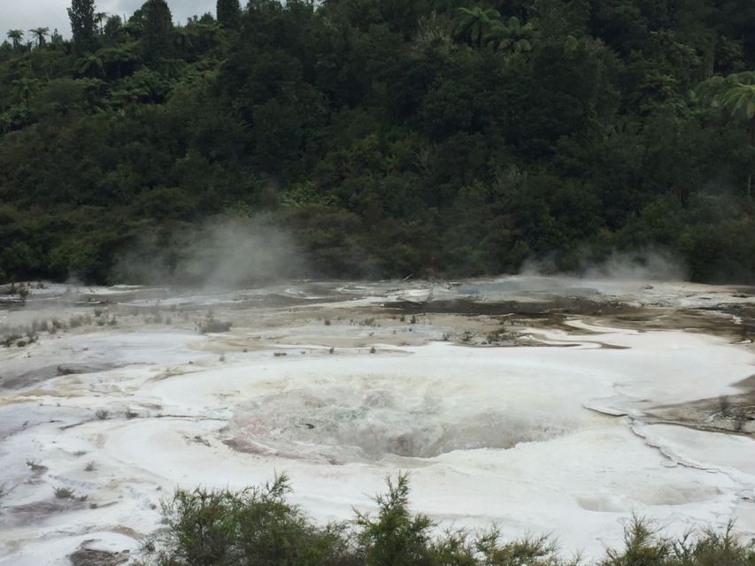 From Rotorua: Taupo Day Trip with Orakei Korako or Waiotapu - What Makes the Geothermal Areas Worth Your Time