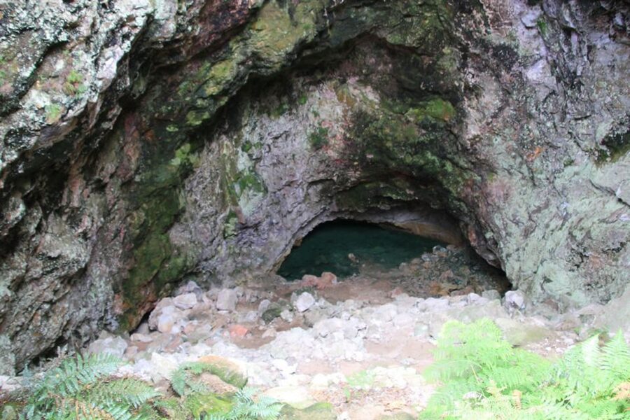 From Rotorua: Taupo Day Trip with Orakei Korako or Waiotapu - Practical Details Before You Reserve
