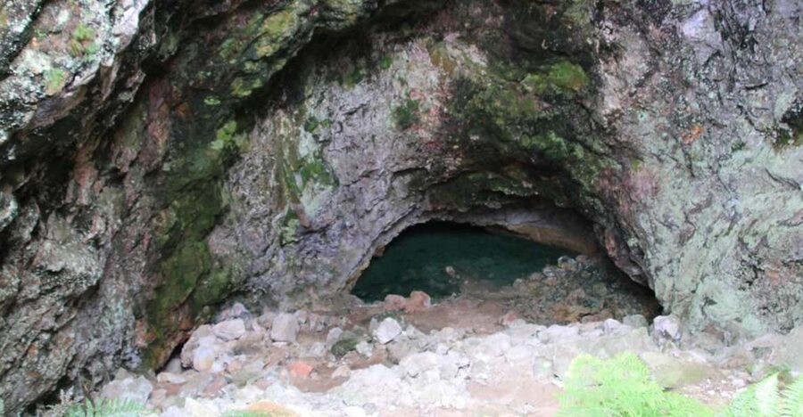From Rotorua: Taupo Day Trip with Orakei Korako or Waiotapu - The Morning Geothermal Walk