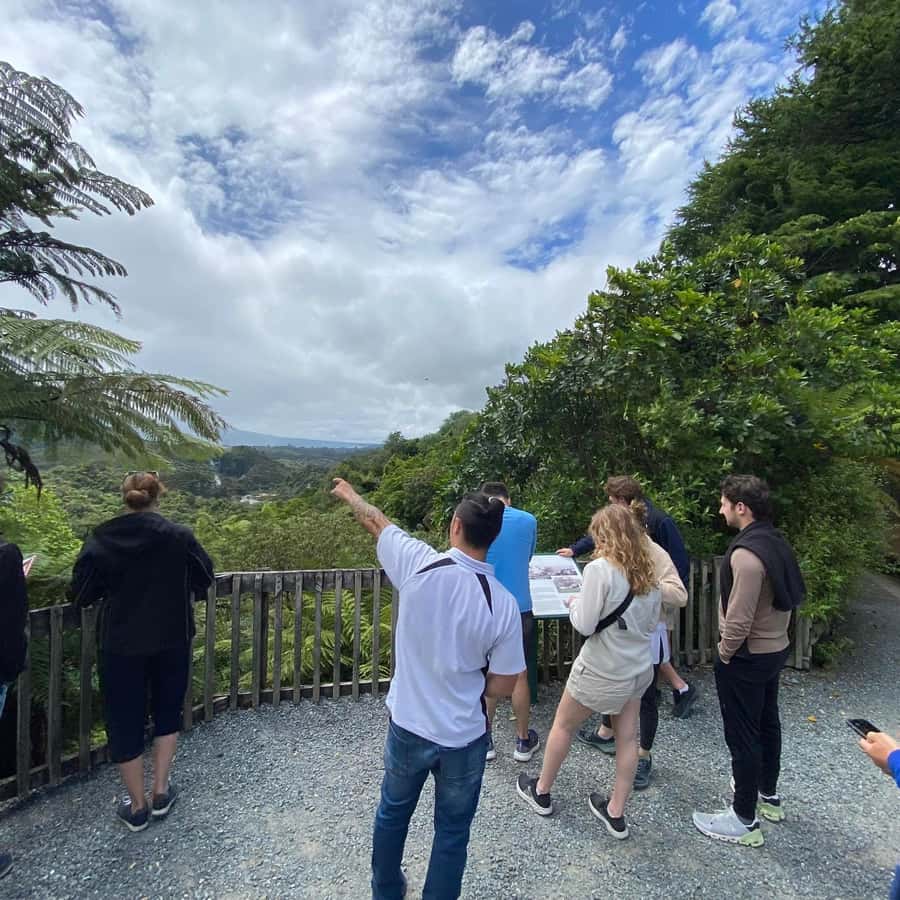 From Rotorua: Wai-O-Tapu, Waimangu and Te Puia Full-Day Tour - Key points at a glance