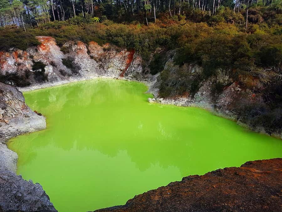 From Rotorua: Wai-O-Tapu, Waimangu and Te Puia Full-Day Tour - What to bring and how to prepare