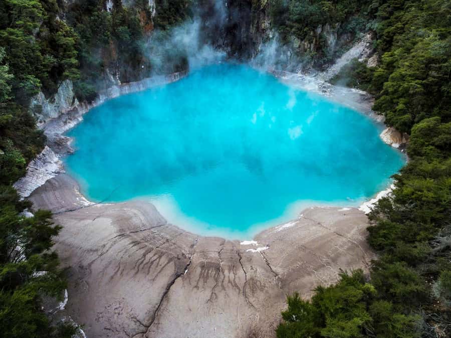 From Rotorua: Wai-O-Tapu, Waimangu and Te Puia Full-Day Tour - Who should book this day tour?