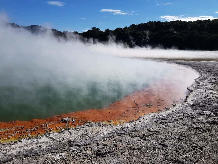 From Rotorua: Wai-O-Tapu, Waimangu and Te Puia Full-Day Tour - Wai-O-Tapu and Lady Knox set the morning pace