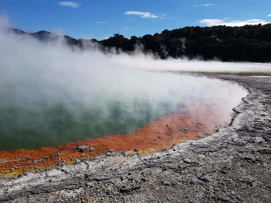 From Rotorua: Wai O Tapu & Waimangu Eco Thermal Morning Tour - Why seeing both parks makes sense