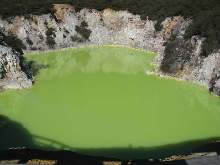 From Rotorua: Wai O Tapu & Waimangu Eco Thermal Morning Tour - An easy start from central Rotorua