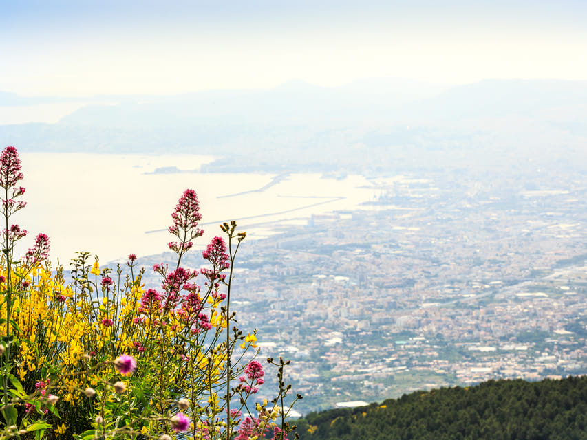 From Salerno: Mount Vesuvius and Pompeii Ruins Day Trip - Entering Pompeii with an audio guide