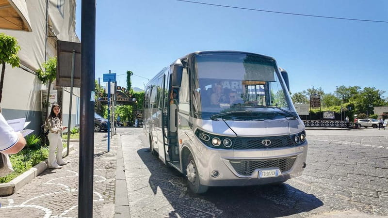 From Salerno: Vesuvius Tour with Entry Ticket & Smart Guide - Collecting the park ticket and smart guide