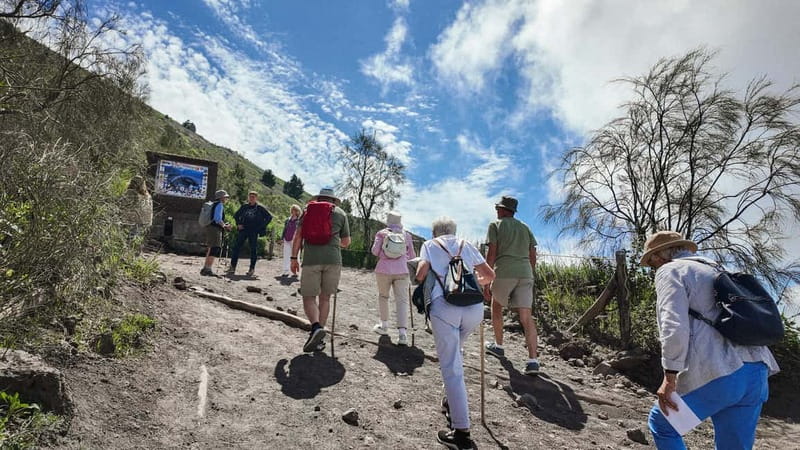 From Salerno: Vesuvius Tour with Entry Ticket & Smart Guide - Walking the crater path