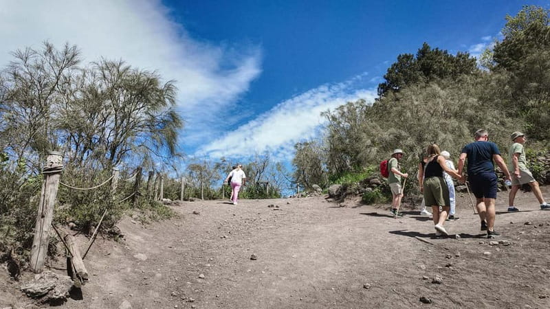 From Salerno: Vesuvius Tour with Entry Ticket & Smart Guide - Is $45 a fair price?