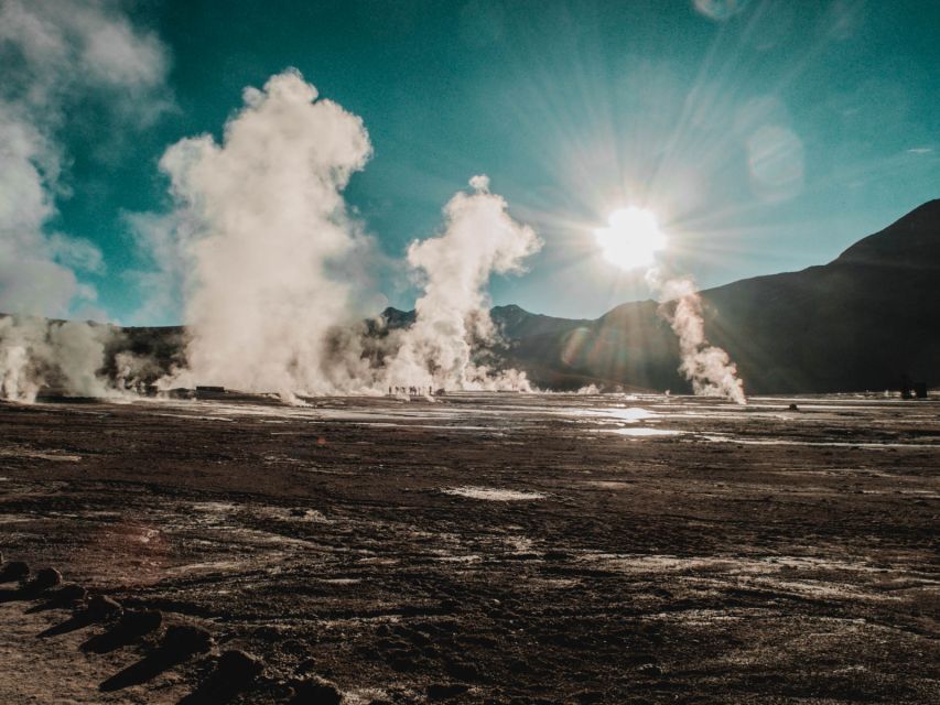 From San Pedro de Atacama: El Tatio Geyser Field & Wetlands - Putana wetlands and high-desert wildlife