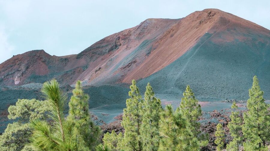 From Santa Cruz: Teide Volcano, Icod, & Garachico Tour - Ángel’s guiding style and the value of a small group