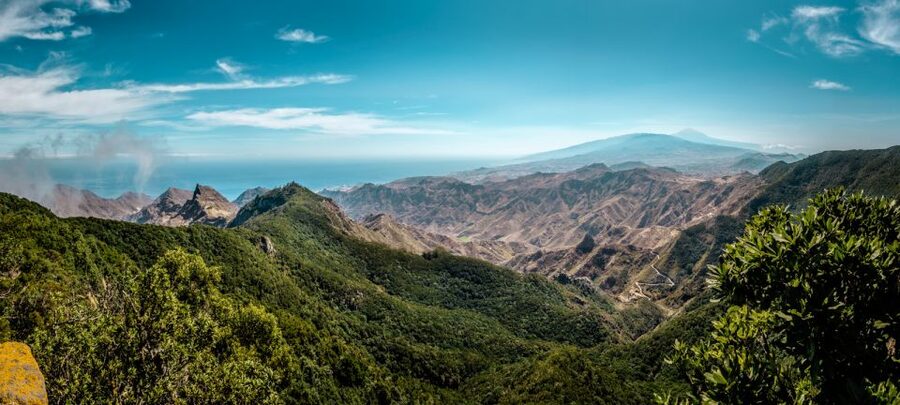 From Santa Cruz: Teide Volcano, Icod, & Garachico Tour - What $85 buys you
