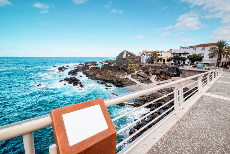 From Santa Cruz: Teide Volcano, Icod, & Garachico Tour - Who should book this Tenerife tour