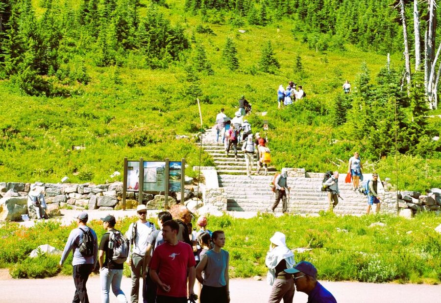 From Seattle: Customized Mount Rainier Tour - From Tacoma to Eatonville: the scenic approach