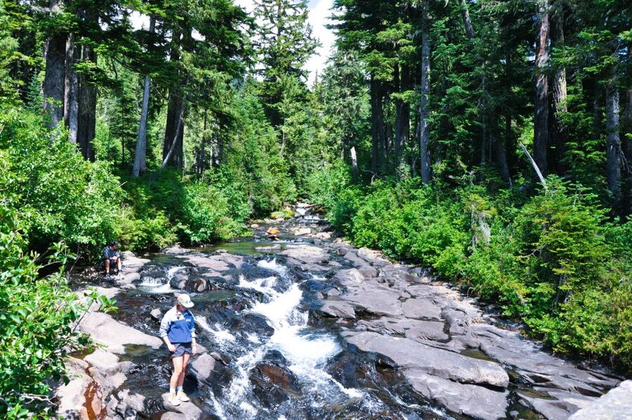 From Seattle: Customized Mount Rainier Tour - Elbe Hills, Tahoma State Forest, and the old-town feel