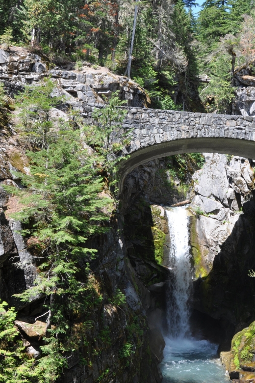From Seattle: Customized Mount Rainier Tour - Pickup choices from Seattle and nearby cities