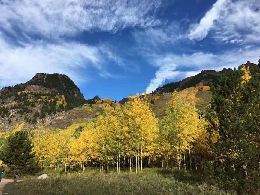 From Seattle: Mount Rainier Guided Day Tour - Longmire Museum puts the mountain in context