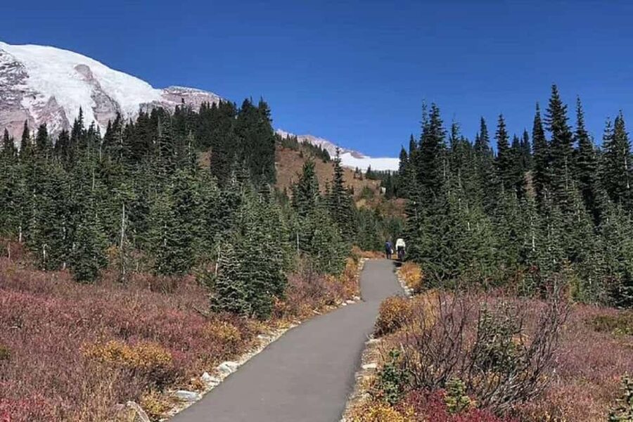 From Seattle: Mount Rainier Guided Day Tour - Christine Falls and Narada Falls bring the water show