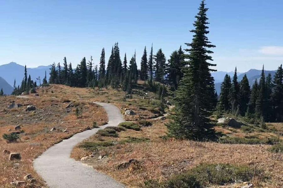 From Seattle: Mount Rainier Guided Day Tour - Paradise gives you the biggest block of free time