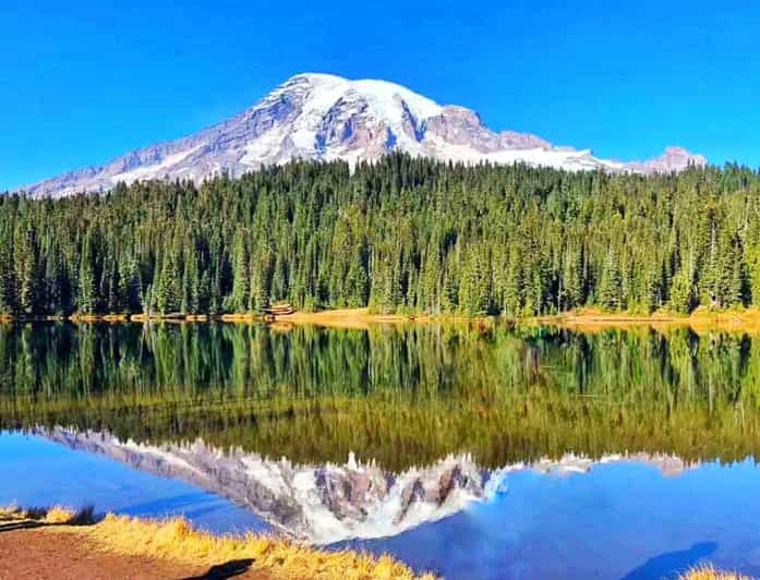 From Seattle: Mount Rainier Guided Day Tour - Small group, compact ride