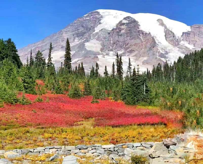 From Seattle: Mount Rainier Guided Day Tour - Pickup times from Seattle and Sea-Tac