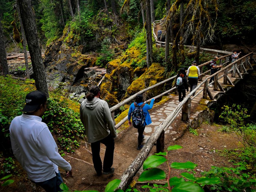 From Seattle: Mount Rainier National Park Guided Tour - Why this Seattle to Mount Rainier trip works