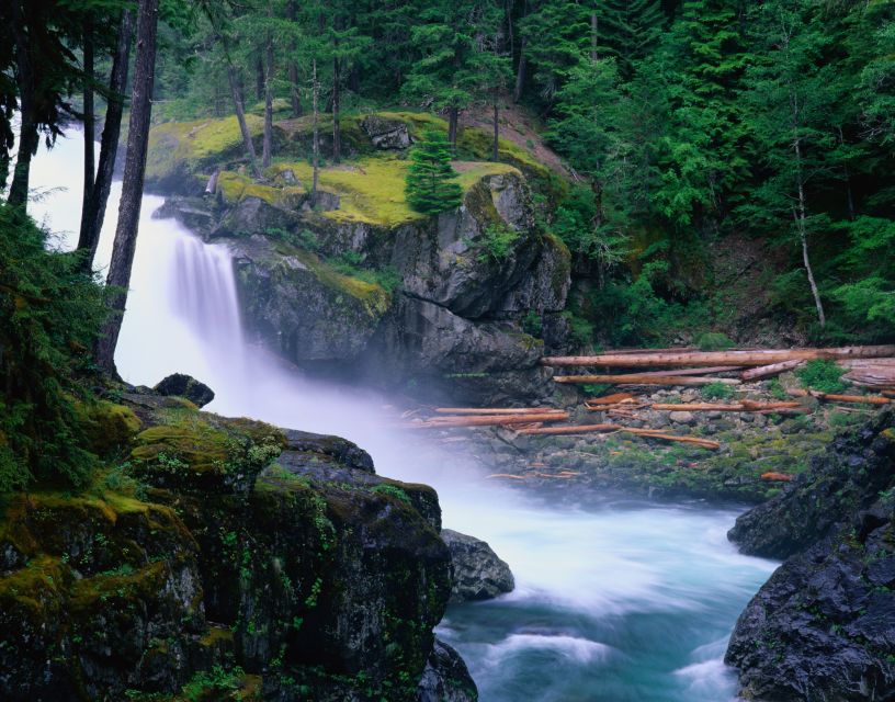 From Seattle: Mount Rainier National Park Guided Tour - Viewpoints and short hikes