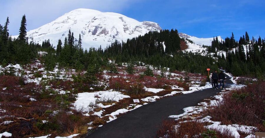 From Seattle: Mount Rainier National Park Guided Tour - Food, comfort, and practical limits