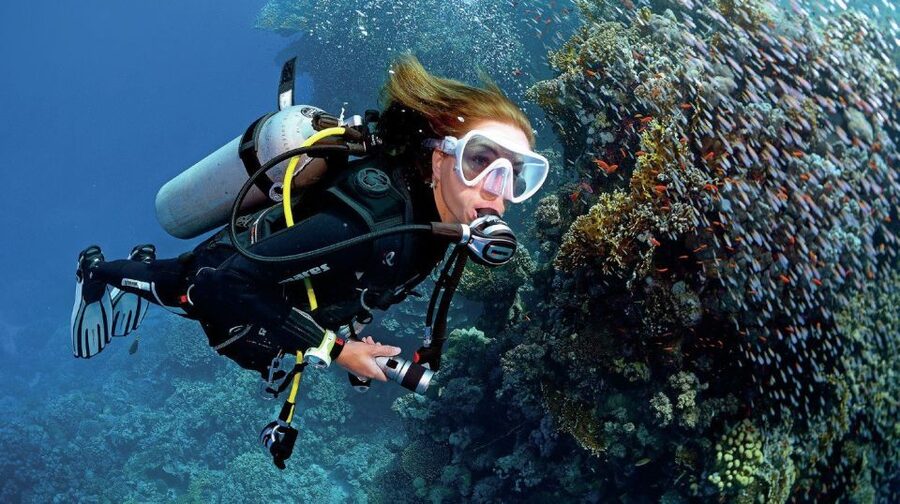 From Sharm: Ras Muhammed & White Island By Boat & intro Dive - Three Stops Across the Red Sea