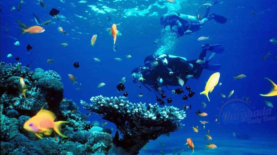 From Sharm: Ras Muhammed & White Island By Boat & intro Dive - Practical Advice for a Better Day