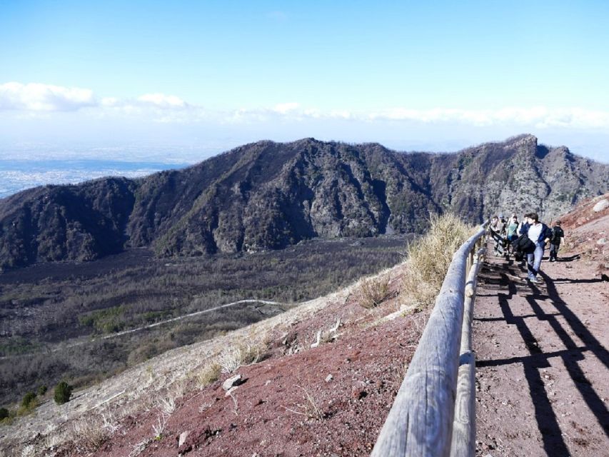 From Sorrento: Day Tour to Pompeii Ruins and Mount Vesuvius - Skip-the-line entry saves time, but Pompeii is still busy