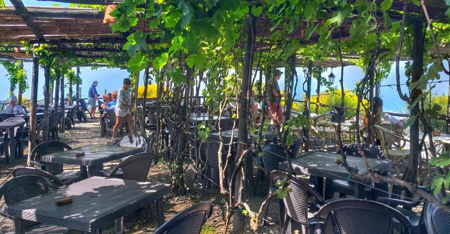 From Sorrento: Mount Vesuvius Tour with Lunch & Wine Tasting - Why this Sorrento day trip works