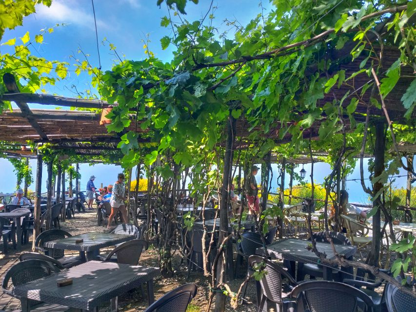 From Sorrento: Mount Vesuvius Tour with Lunch & Wine Tasting - Tasting wines from volcanic soil