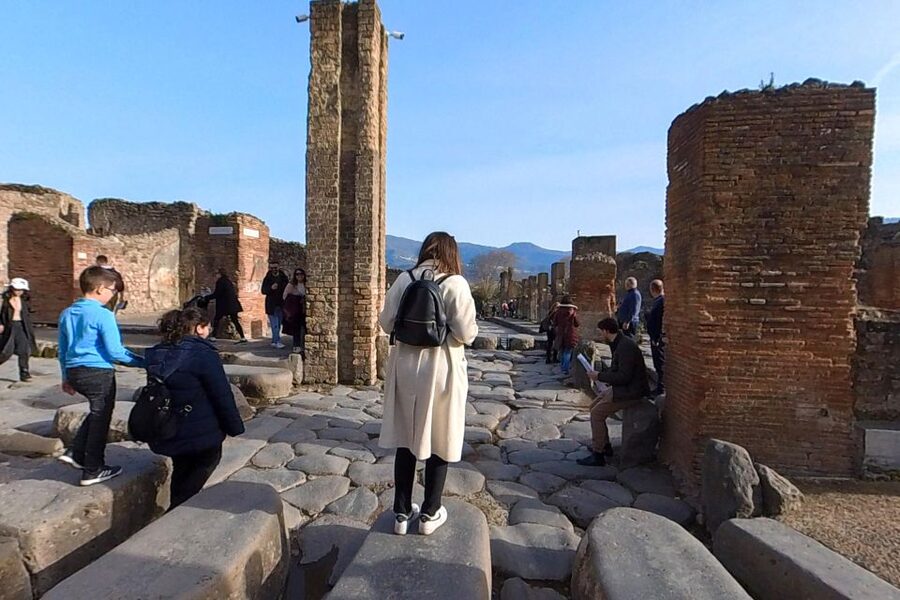 From Sorrento: Pompeii and Vesuvius Guided Tour with Lunch - Key points to know before booking
