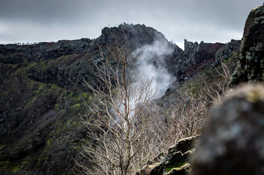 From Sorrento: Pompeii and Vesuvius Guided Tour with Lunch - Should you book the Pompeii and Vesuvius tour?