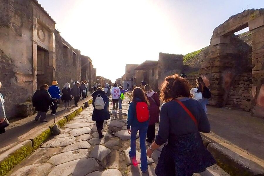 From Sorrento: Pompeii and Vesuvius Guided Tour with Lunch - The bus ride and the people running the day