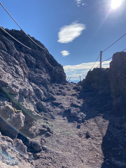 From Sorrento: Pompeii and Vesuvius Skip-the-Line Tour - Key points to know before booking