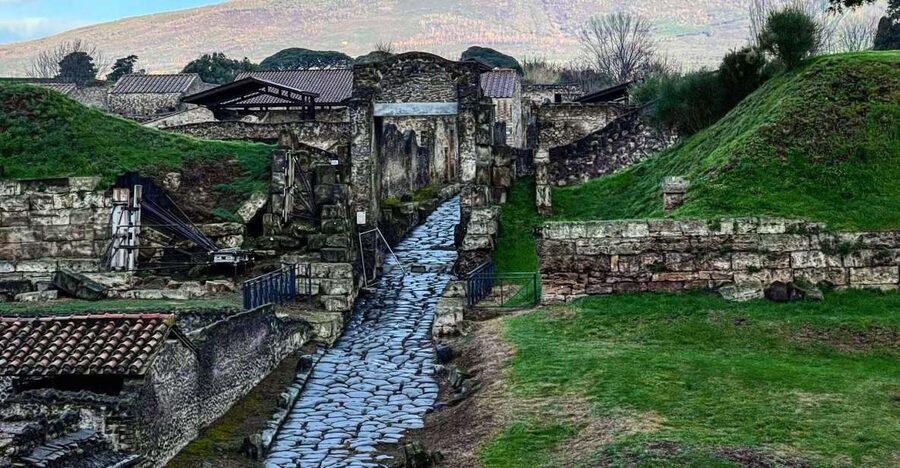 From Sorrento: Pompeii and Vesuvius Skip-the-Line Tour - Walking through Pompeii’s western city