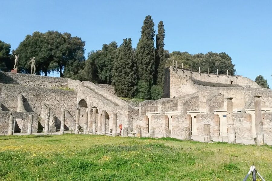From Sorrento: Pompeii and Vesuvius Tour - Should you book it?