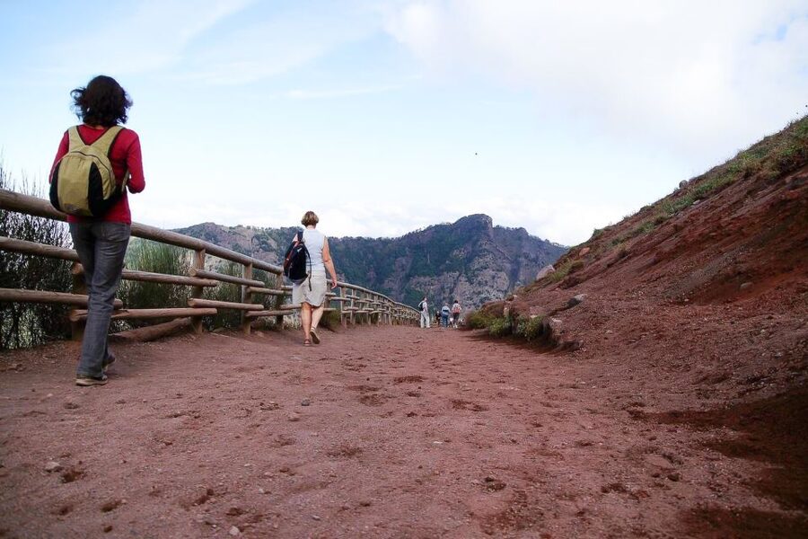 From Sorrento: Pompeii and Vesuvius Tour - Guides make the difference at Pompeii