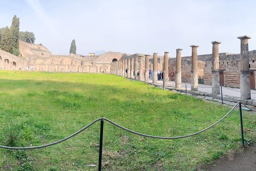From Sorrento: Pompeii and Vesuvius Tour - How much value do you get for $135.94?