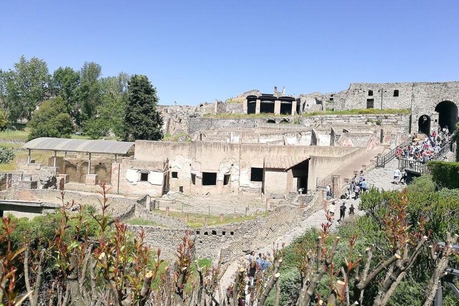 From Sorrento: Pompeii and Vesuvius Tour - Who should book this Sorrento day trip?