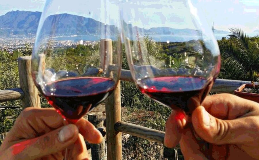 From Sorrento: Pompeii & Mt. Vesuvius Tour with Lunch & Wine - Who should book this Sorrento day tour?